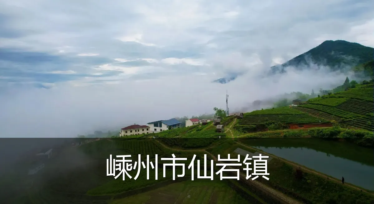 嵊州市仙岩镇